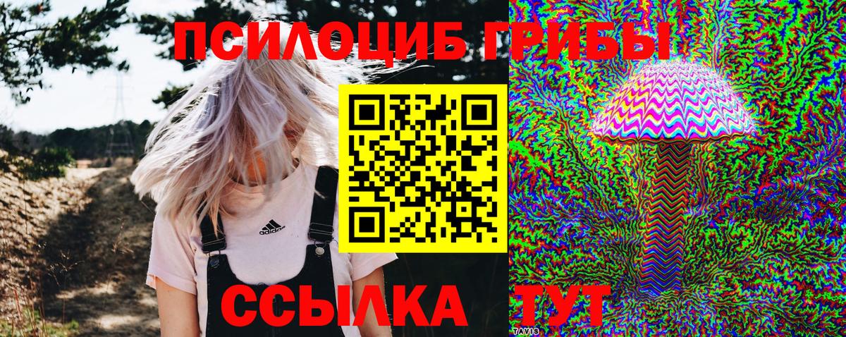 Псилоцибиновые грибы ЛСД  наркота  Урус-Мартан  Галлюциногенные грибы мухоморы  Вход с VPN 