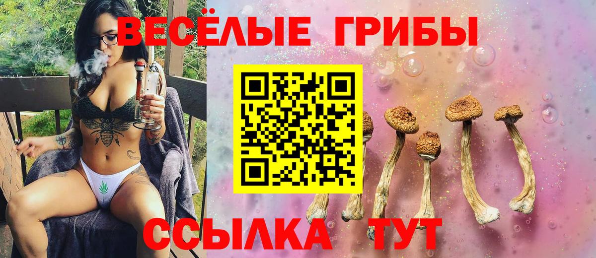 Псилоцибиновые грибы Magic Shrooms Урус-Мартан